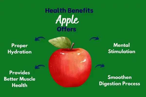 Health Benefits Apple Offers
