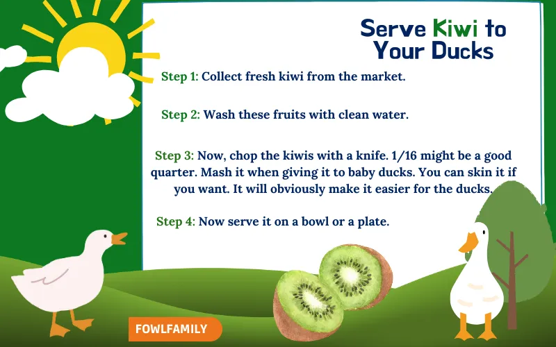 How to Serve Kiwi?