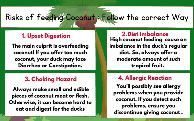 Risks Of Feeding Coconut: Follow The Correct Way