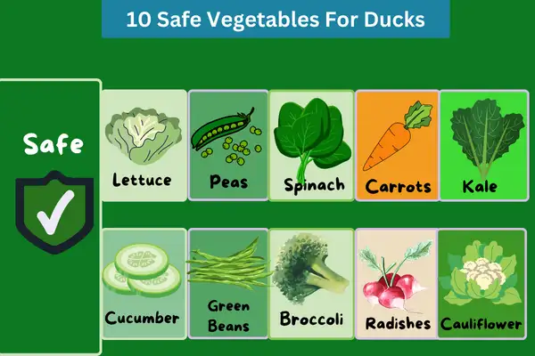 10 Safe Vegetables for Ducks