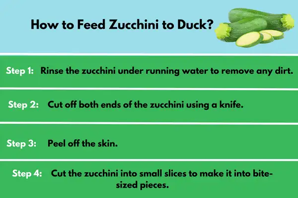 How To Feed Zucchini To Duck?