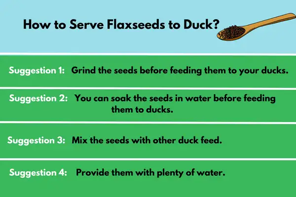 How To Serve Flaxseeds To Ducks?
