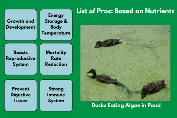 List of Pros: Based on Nutrients