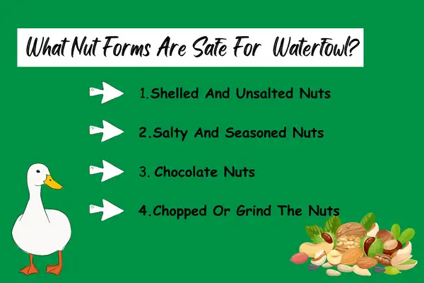 Nuts And Seeds: What Nut Forms Are Safe For Waterfowl?