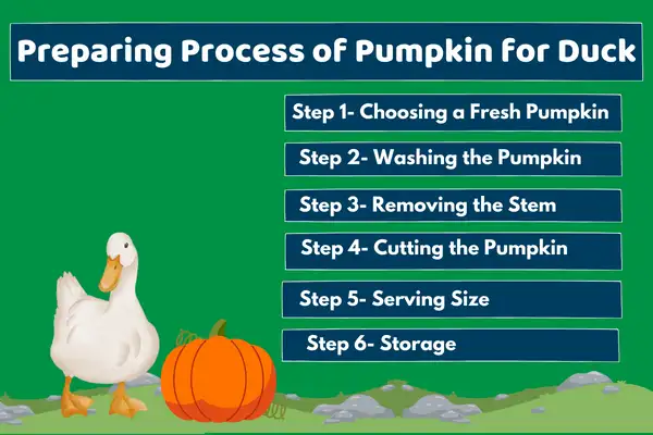 Preparing Process of Pumpkin for Duck