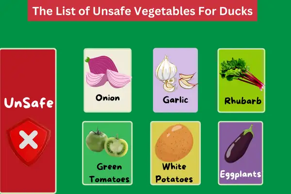 The List of Unsafe Vegetables for Ducks