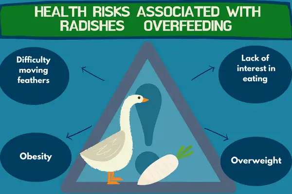 What Sort of Health Risks Are Associated With Radishes Overfeeding?