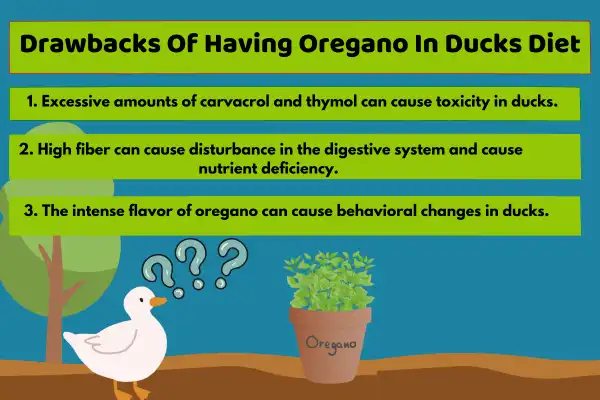 Drawbacks Of Having Oregano In Ducks Diet