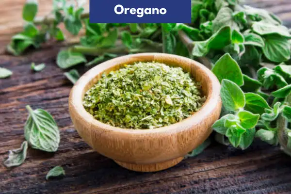 Oregano