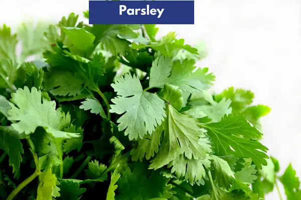 Parsley