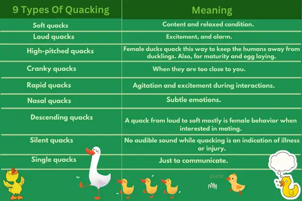 Different types of quacking Behavior