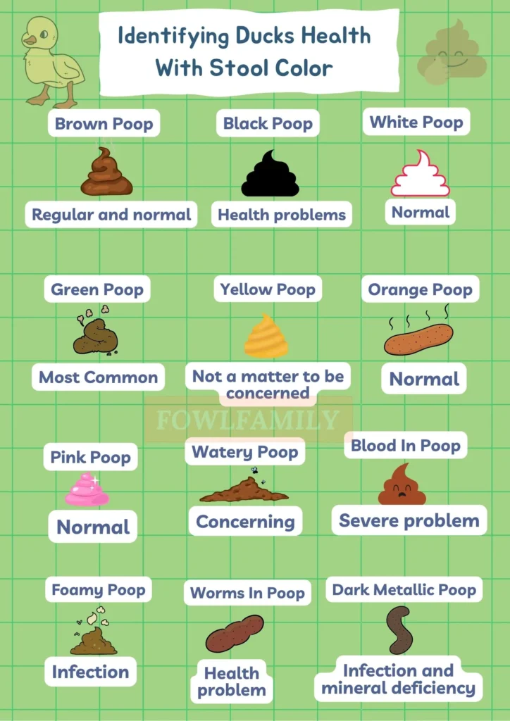 Duck Poop Color Chart