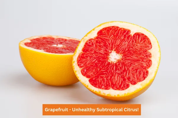 Grapefruit - Unhealthy Subtropical Citrus!