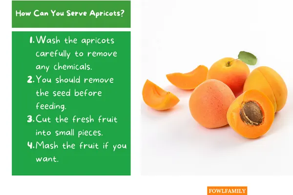 4 Feeding Guidelines: of Apricots
