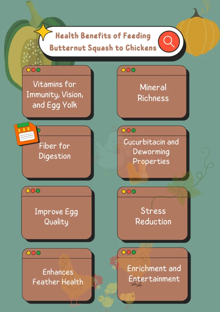 Health Benefits of Feeding Butternut Squash