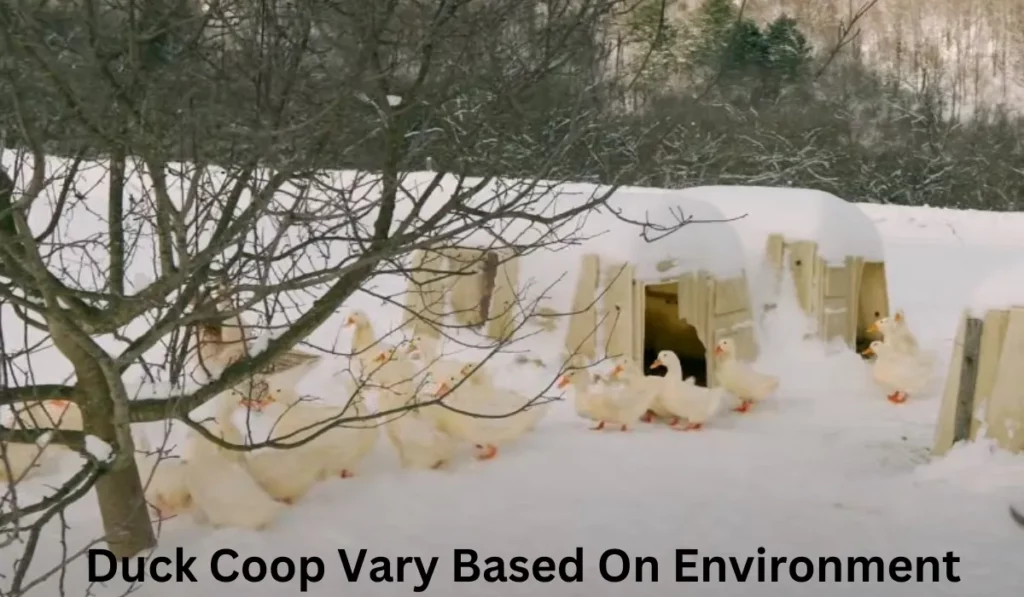 Duck Coop Vary Based On Environment