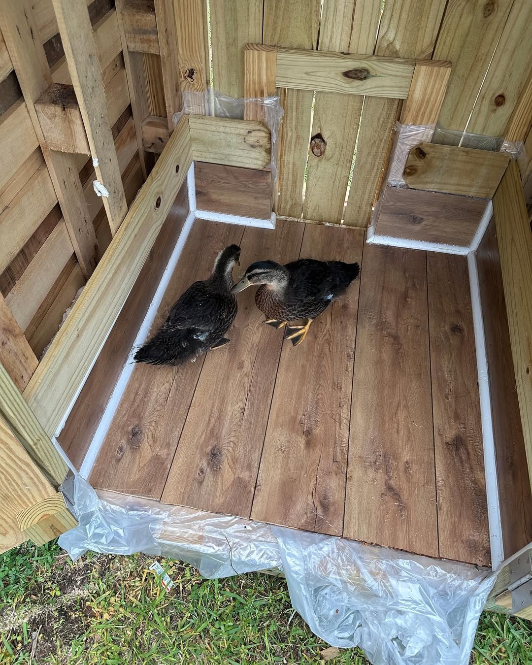 Easily Workable Duck Coop Materials