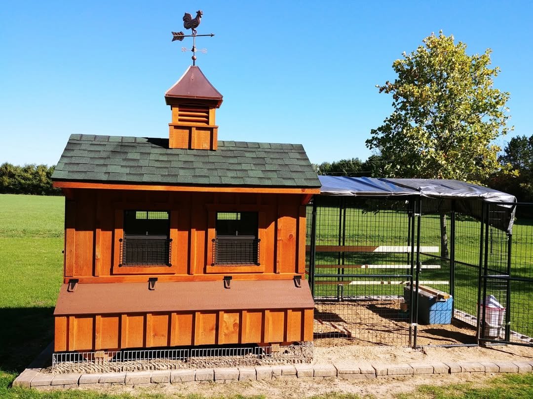 Housing Design for The Perfect Duck Coop