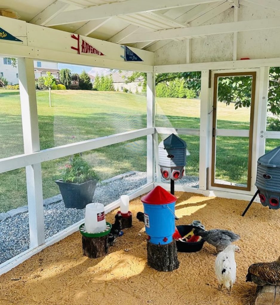 Improved Ventilation Of The Coop