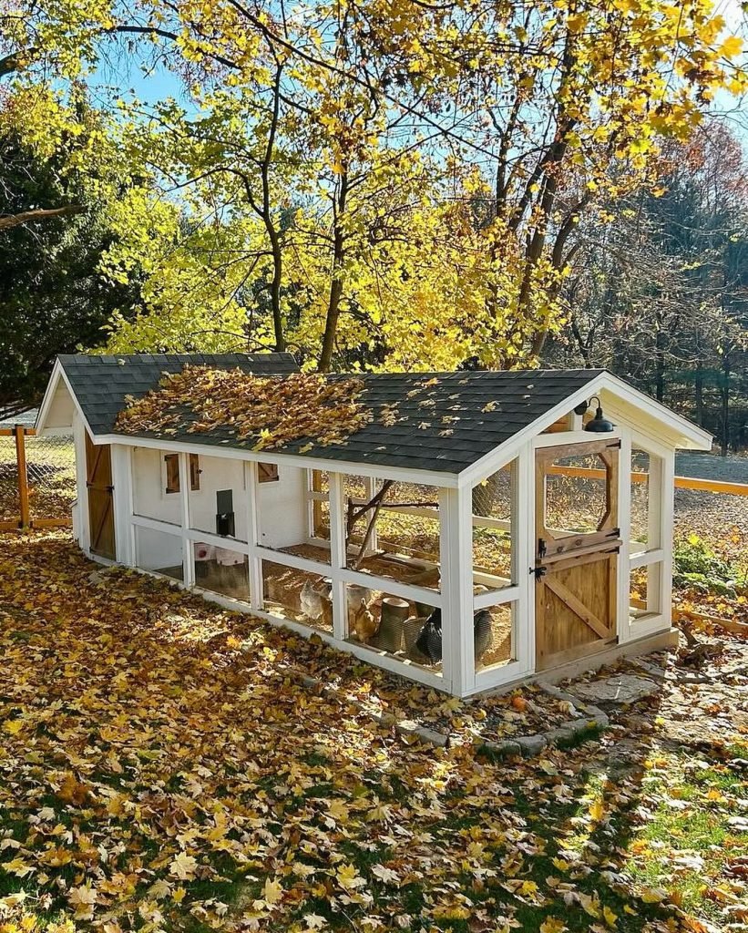 Designing The Perfect Duck Coop - [14 Guides To Follow!]