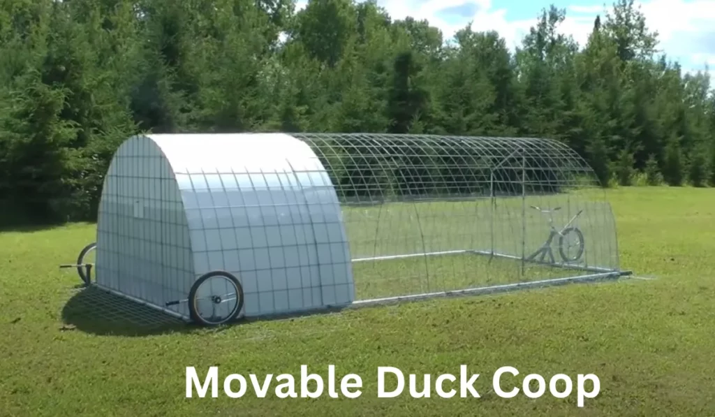 Movable Duck Coop