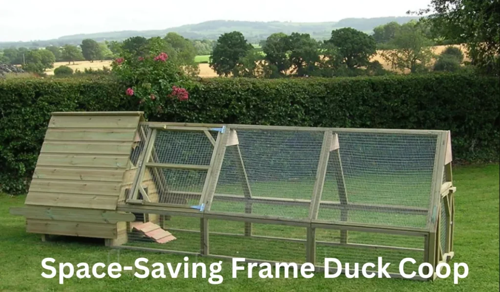 Space-Saving Frame Coop