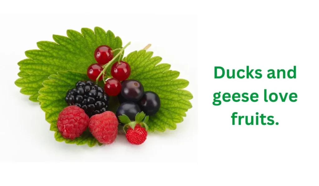 soft fruits
