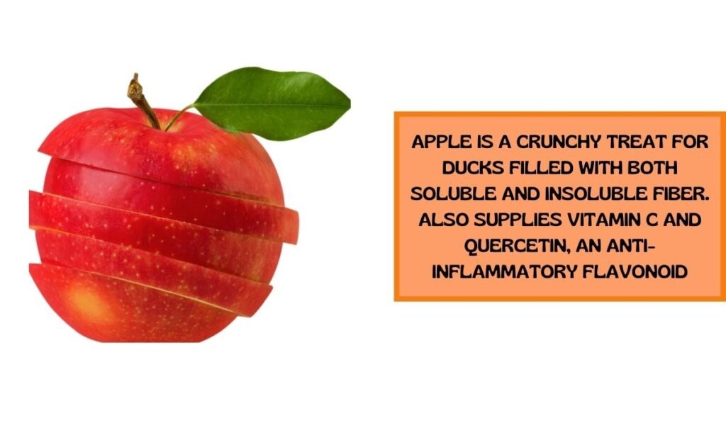 chopped apple