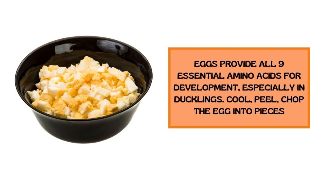 Chopped Boiled Eggs