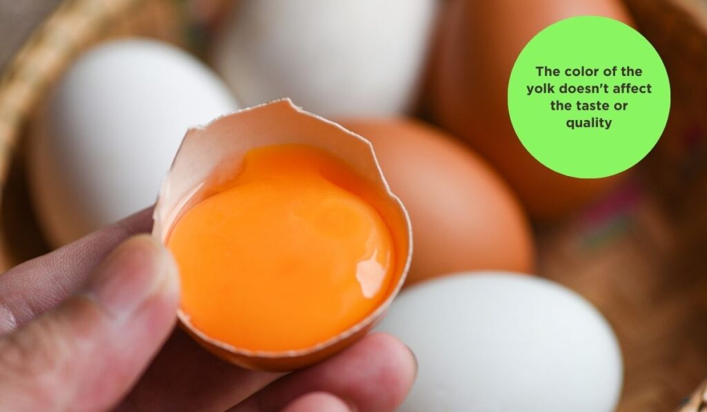 the color of the yolk