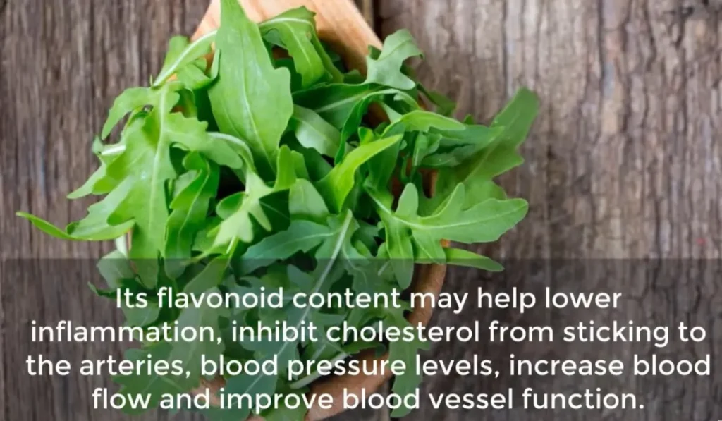 Health Benefits of Feeding Arugula