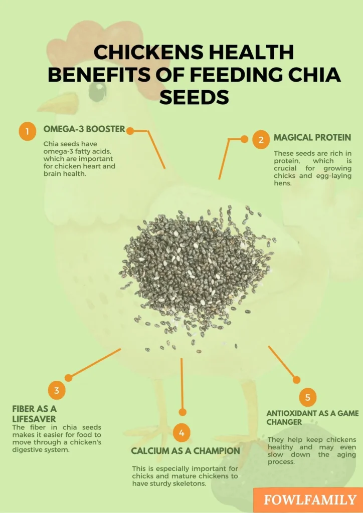 Health Benefits of Feeding Chia Seeds