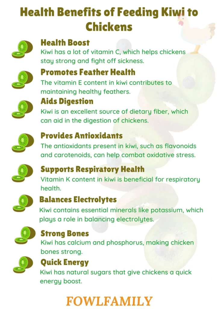 Health Benefits of Feeding Kiwi to Chickens