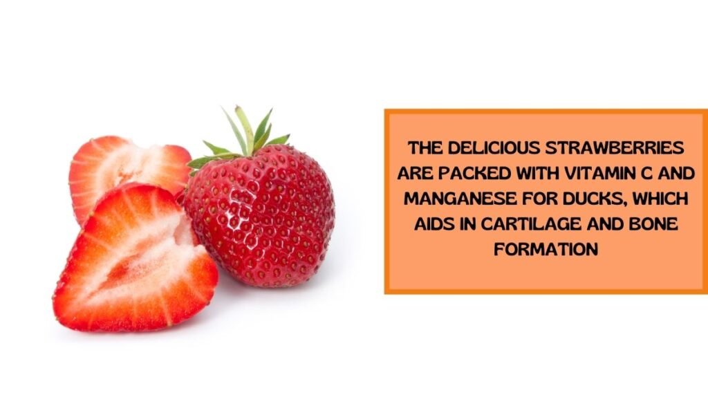 srawberries