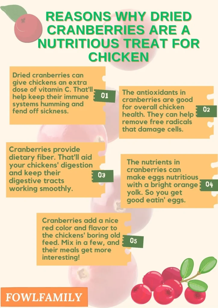 Reasons Why Dried Cranberries Are a Nutritious Treat