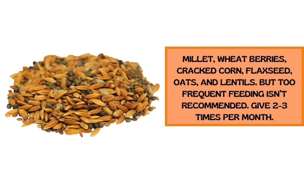 Wild Bird Seed Mix