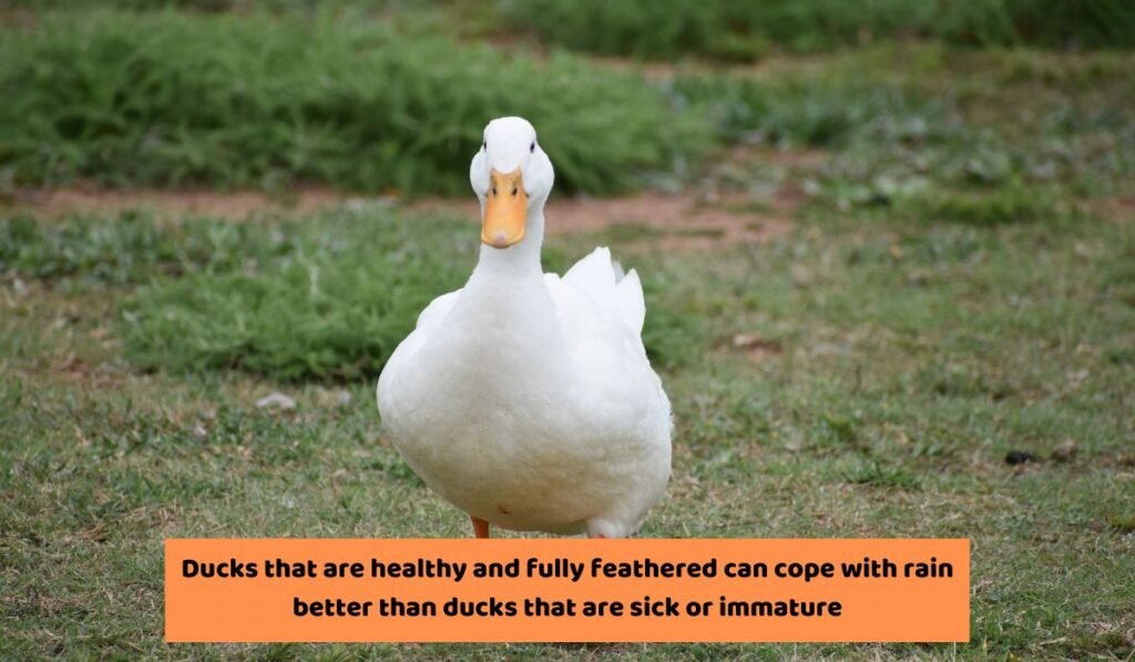Age & Health Matter