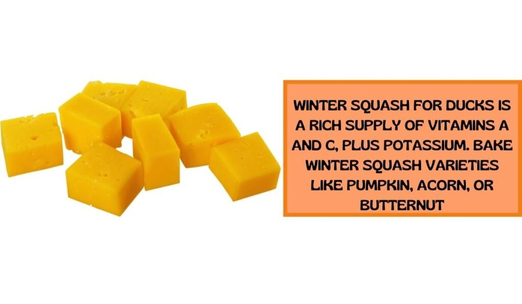 squash