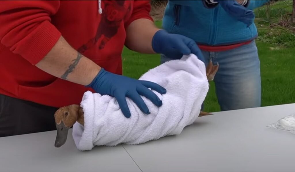 Soak the Affected Foot