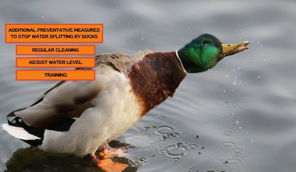 Additional Preventative Measures to Stop Water Splitting by Ducks