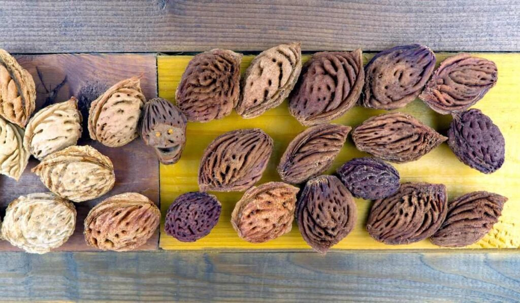 Peach Pits or Seeds Can Be Toxic