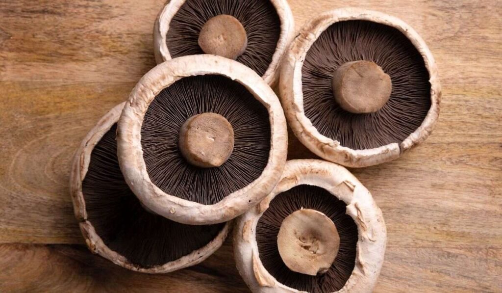 7 Types of Mushrooms That Are Safe For Ducks