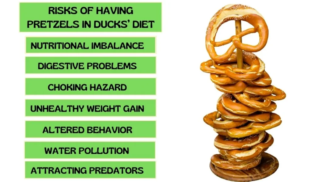 Risks Of Having Pretzels In Ducks’ Diet