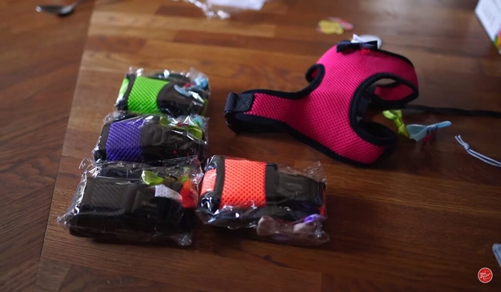 Selecting the Right Harness