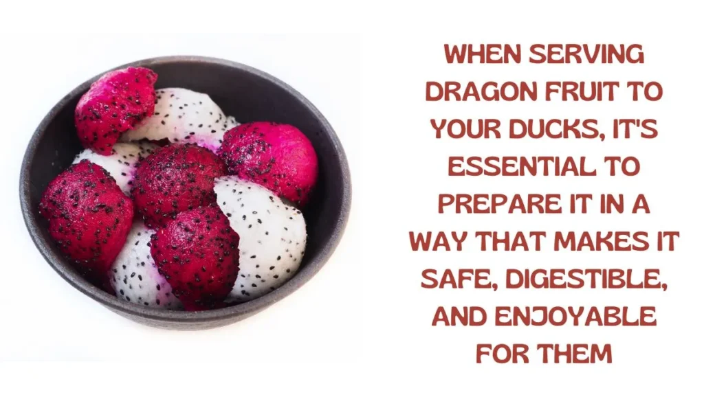 Serving Methods Of Dragon Fruits To Your Ducks