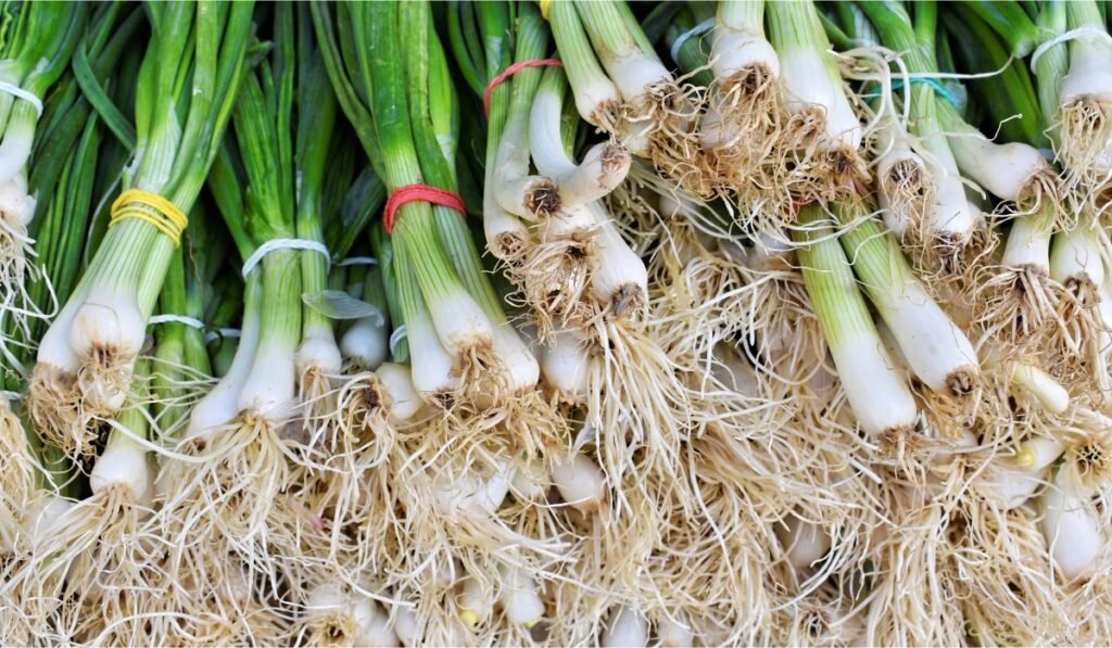 green onion