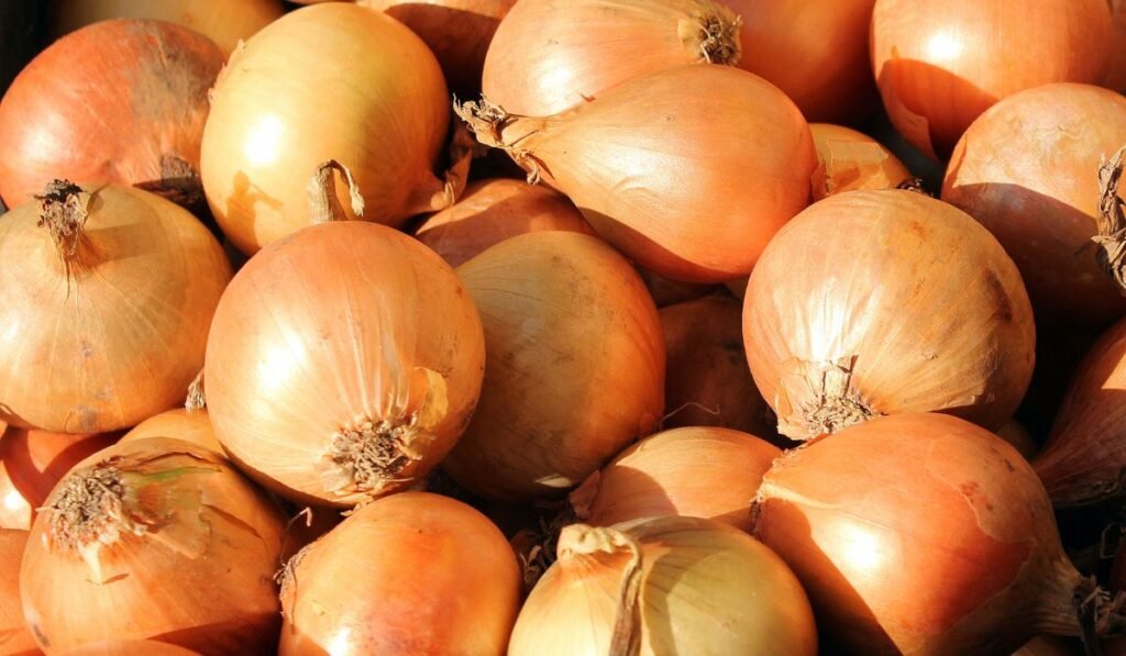 Can Ducks Eat Onions? 3 Reasons to Avoid!