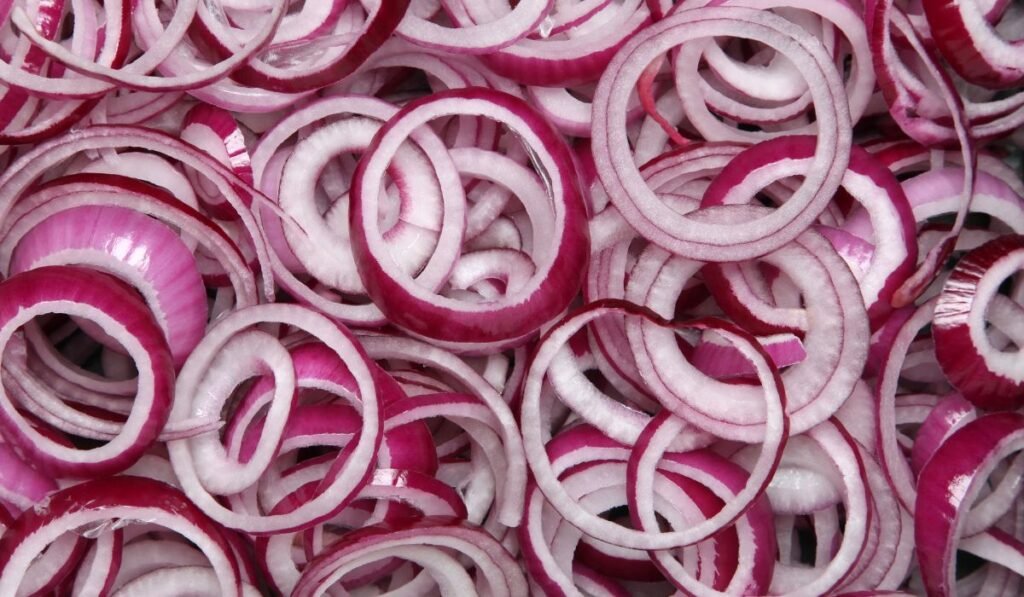 Can Ducks Eat Onion Rings?