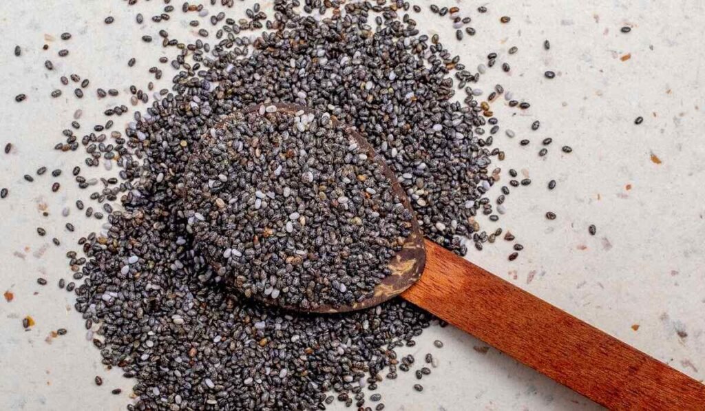 Feeding Chia Seeds to Chickens - The Ideal Guideline!