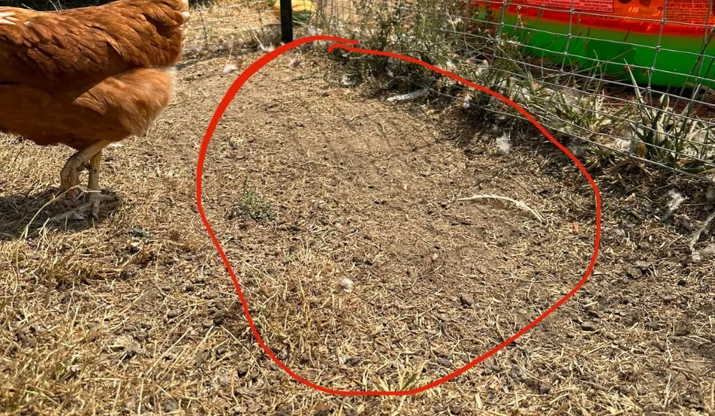Bedding Mistakes